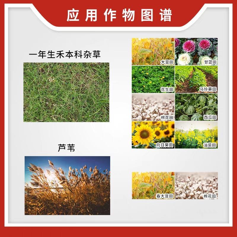 除草剂，盖草能20-30毫升/亩喷雾一年生禾本科杂草
