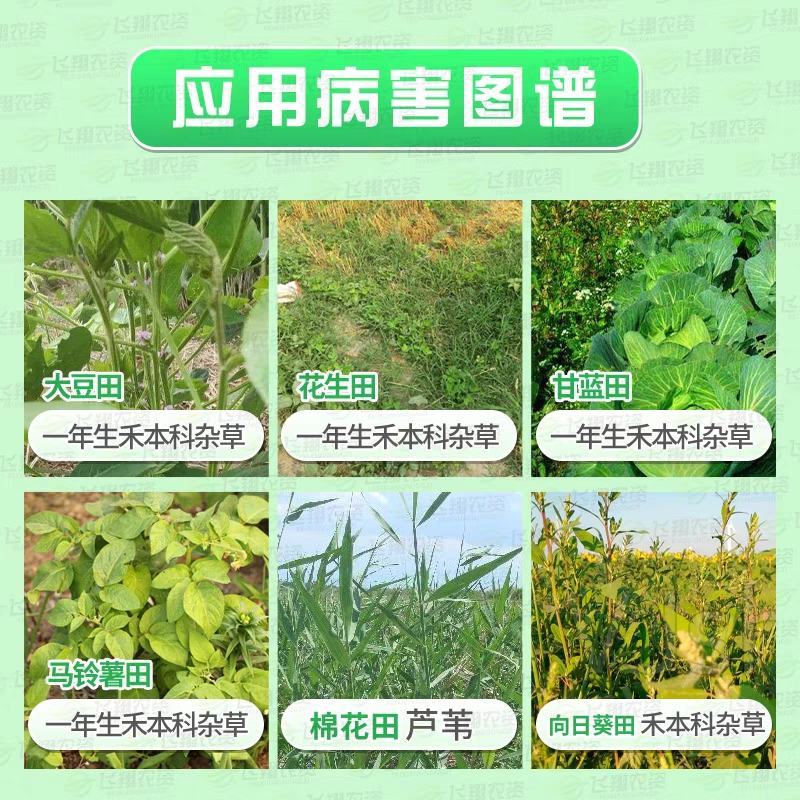 除草剂，盖草能20-30毫升/亩喷雾一年生禾本科杂草