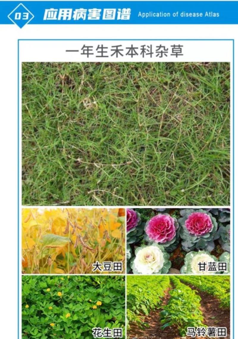 除草剂，盖草能20-30毫升/亩喷雾一年生禾本科杂草