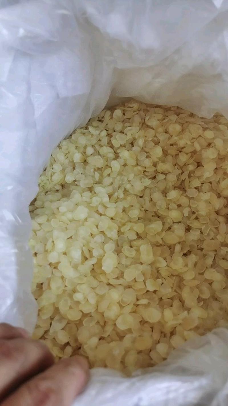 雪莲子皂角米，一手货源，充足批发，量大价优，规格全