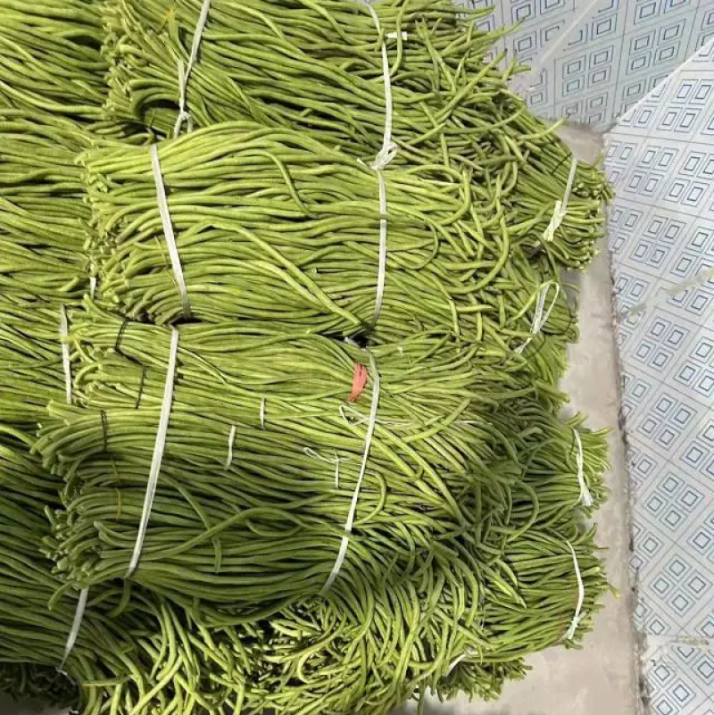 【豆角】长豆角湖北长豆角产地直发供应全国市场电商