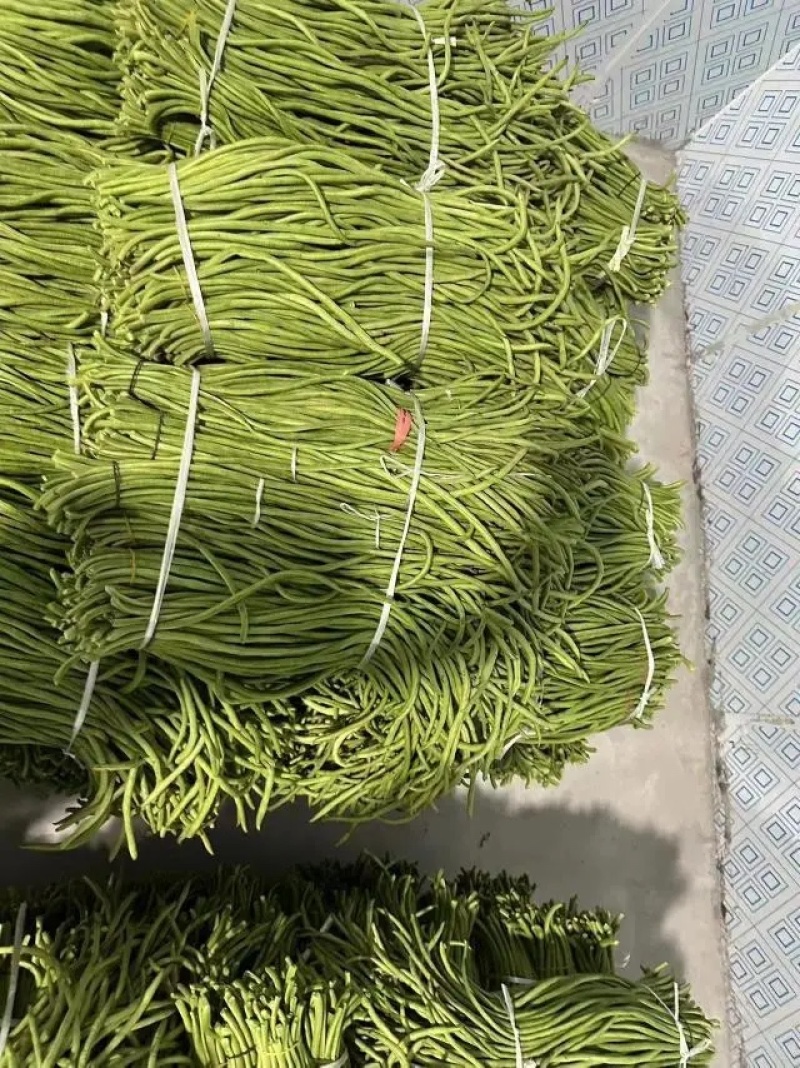 【豆角】长豆角湖北长豆角产地直发供应全国市场电商