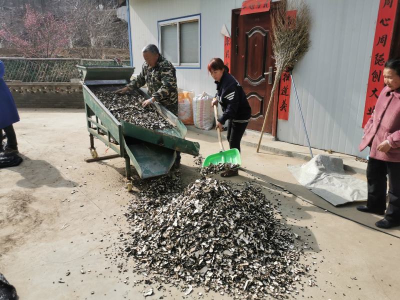 【猪苓片】道地中药材河南卢氏产地直发常年供货随时联系