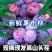 现货黑布林李子产地一件代发社区团购电商直播对接