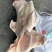 带耳猪头