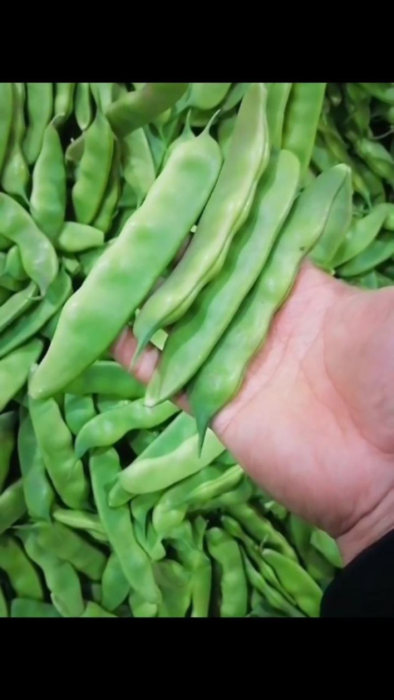 小油豆