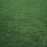 马尼拉草皮