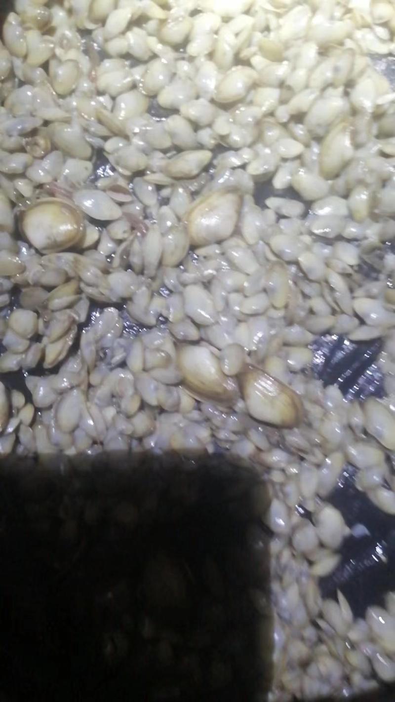 海沙啊，黄豆粒大小，多少有点大的