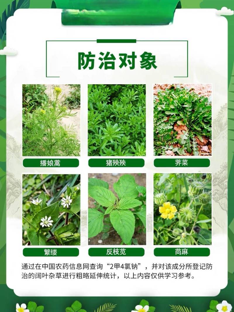 2甲4氯钠56%树荣金草福10g阔叶杂草除草剂农药