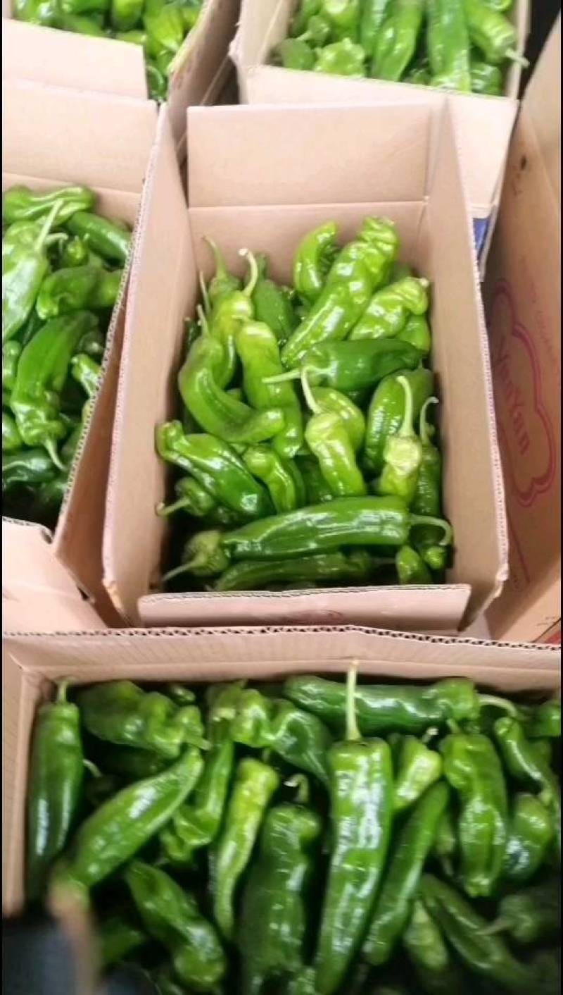 辣椒，品种齐全，口感好，欢迎选购