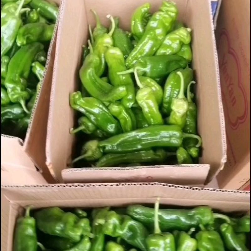 辣椒，品种齐全，口感好，欢迎选购