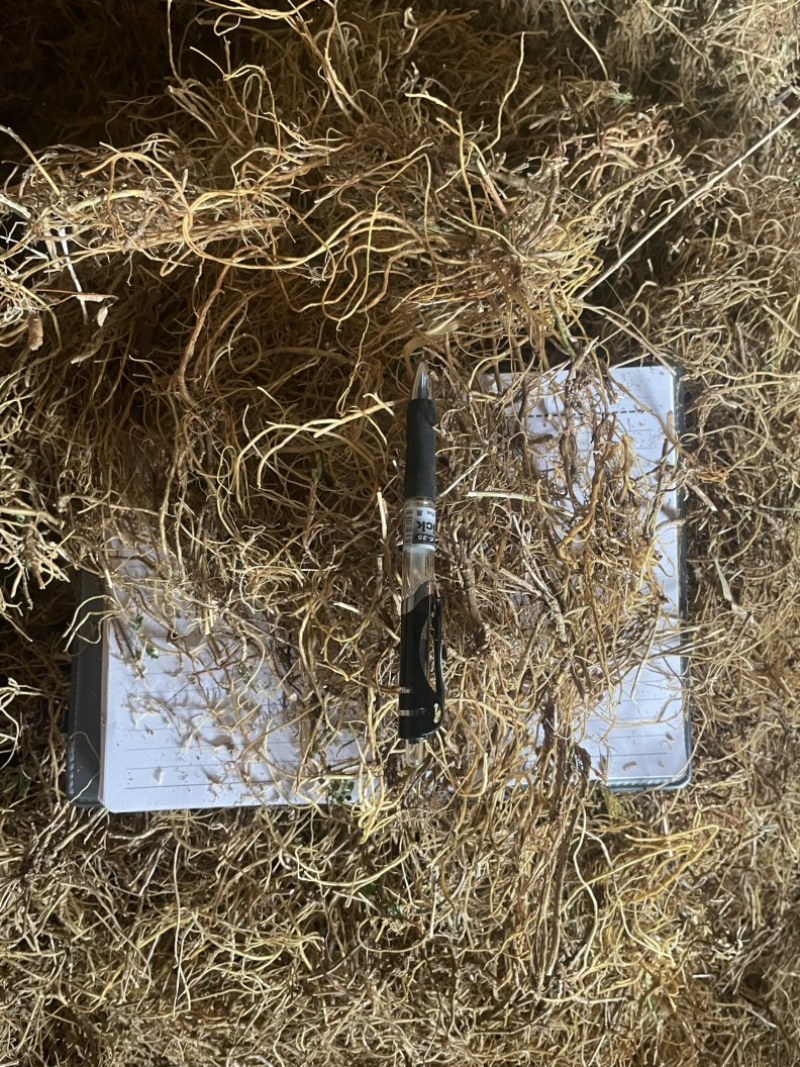龙胆草统货云南滇龙胆坚龙胆草苦龙胆草