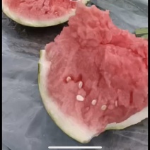 西瓜无籽