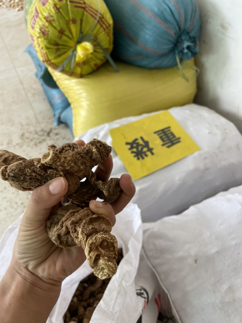 滇重楼重楼云南高杆粉质滇重楼云南道地中药材