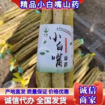 电商团购优选，香甜粉糯的小白嘴山药。产地直供，一手货源