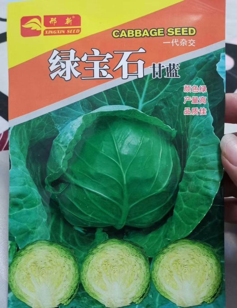 【精】绿宝石甘蓝种子绿宝甘蓝种子10g软甘蓝种