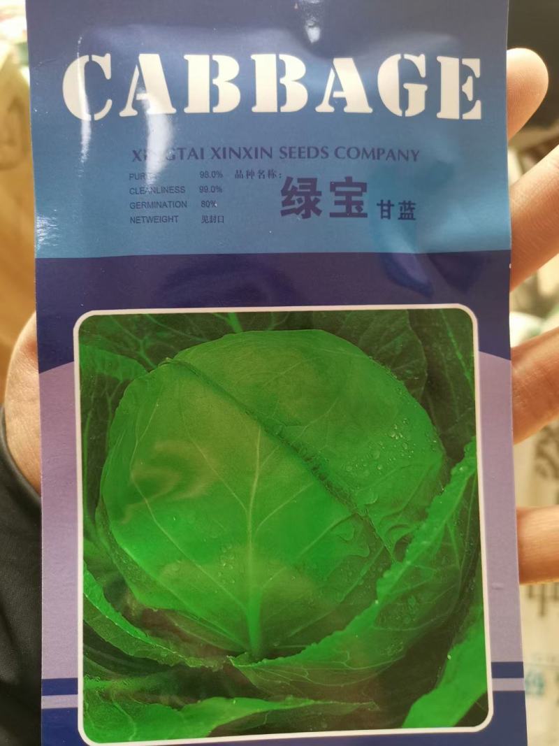 【精】绿宝石甘蓝种子绿宝甘蓝种子10g软甘蓝种