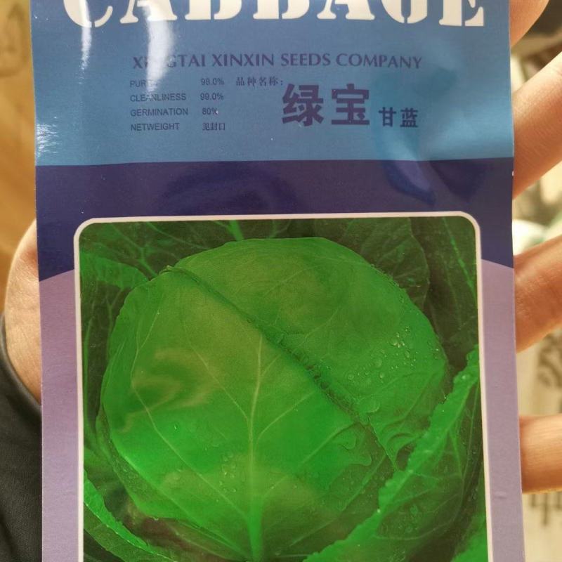 【精】绿宝石甘蓝种子绿宝甘蓝种子10g软甘蓝种
