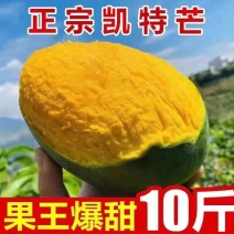 【精品供应】攀枝花凯特大芒果一件专业供应各大电商平台