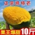 【精品供应】攀枝花凯特大芒果一件代发专业供应各大电商平台