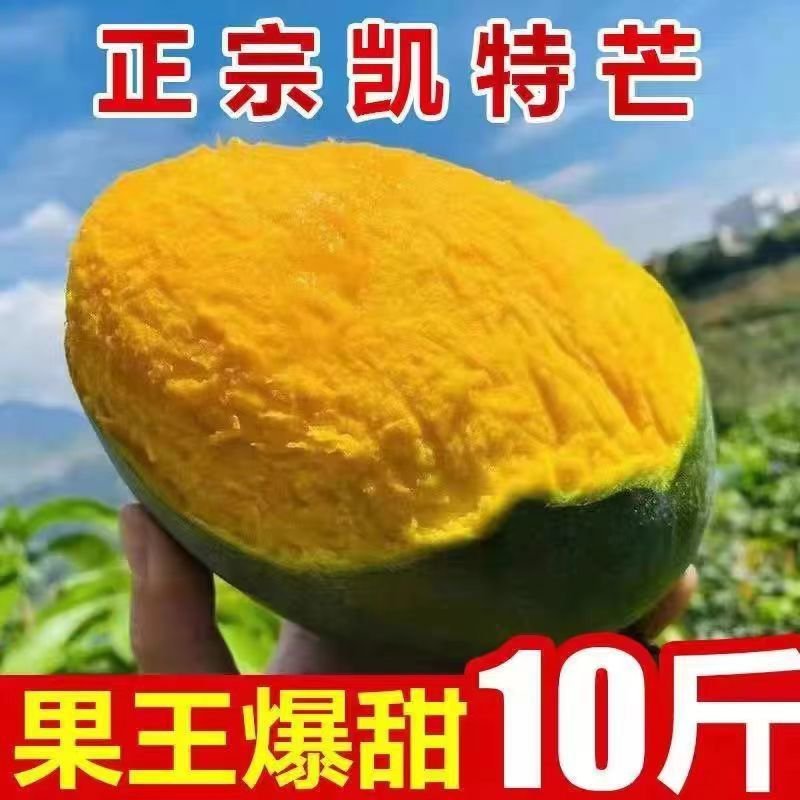 【精品供应】攀枝花凯特大芒果一件代发专业供应各大电商平台