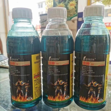 海特农化10%精草铵膦铵盐主帅非耕杂草牛筋草除草剂农药