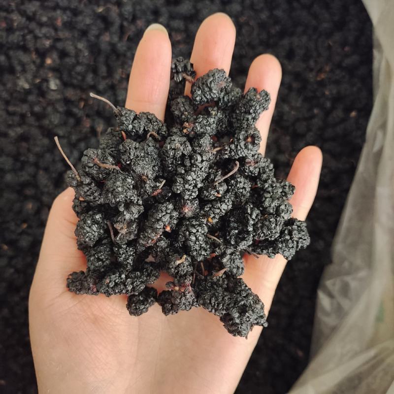 桑椹，桑椹干无硫药食同源，一手货源一件代发批发各种中药材