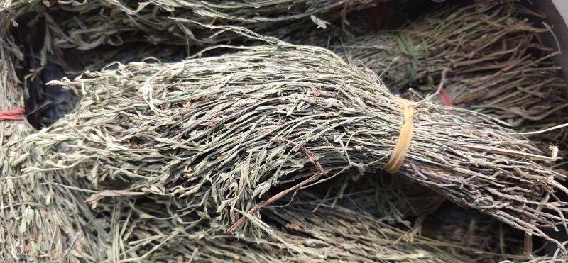 独脚金2023年独角金疳积草独脚甘独脚柑新鲜晒干野生