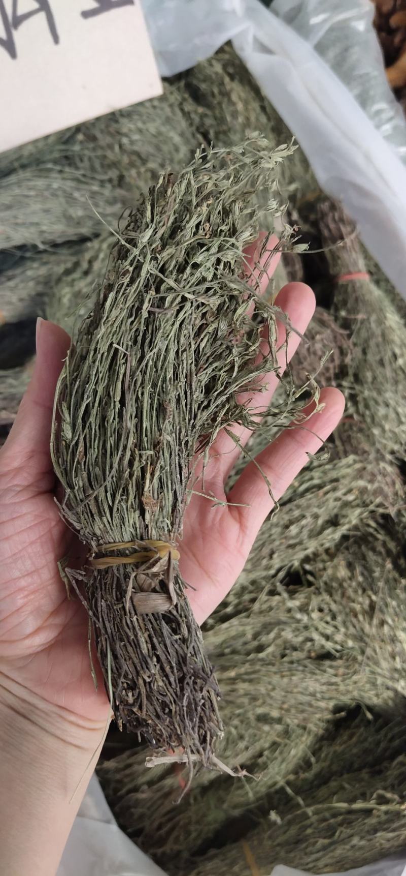 独脚金2023年独角金疳积草独脚甘独脚柑新鲜晒干野生
