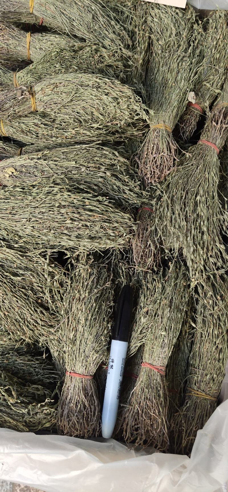 独脚金2023年独角金疳积草独脚甘独脚柑新鲜晒干野生