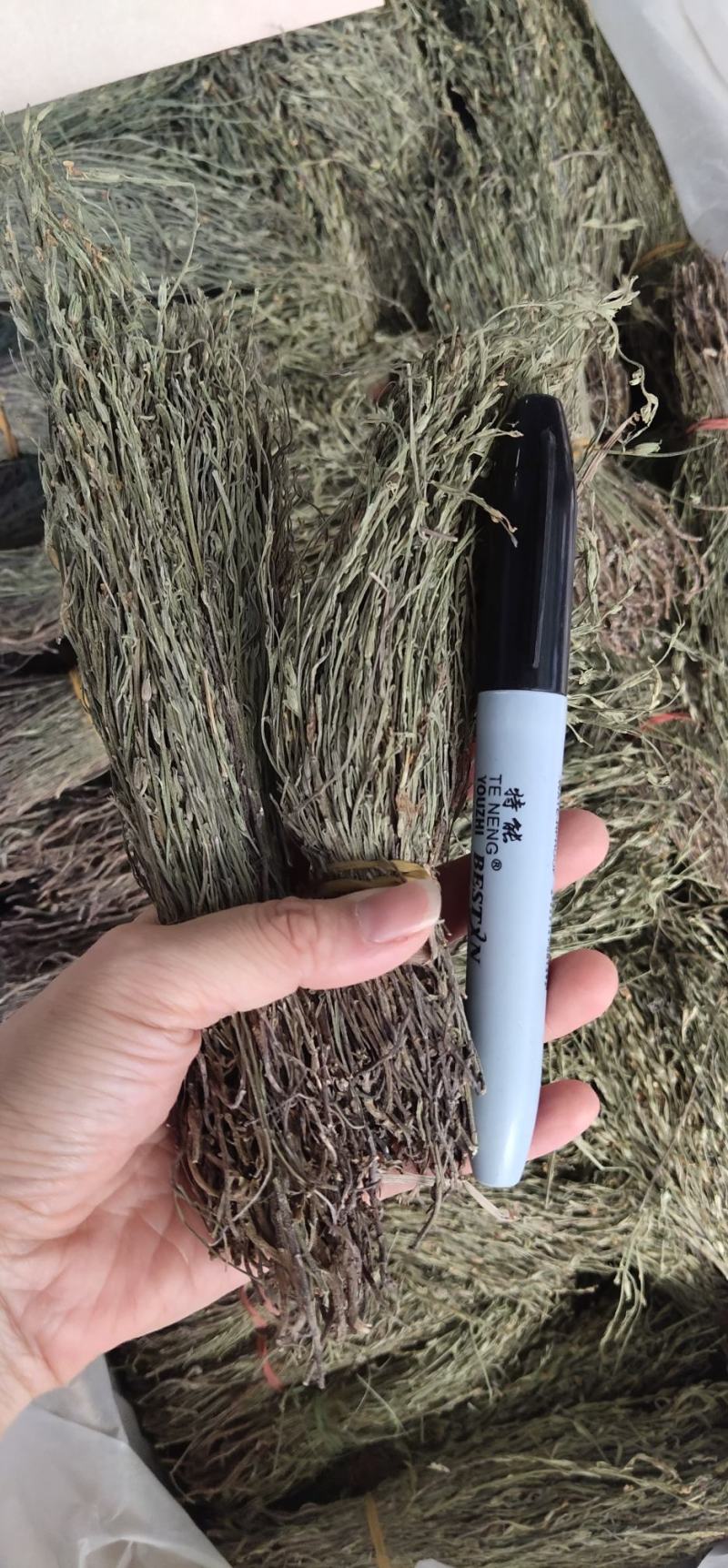 独脚金2023年独角金疳积草独脚甘独脚柑新鲜晒干野生