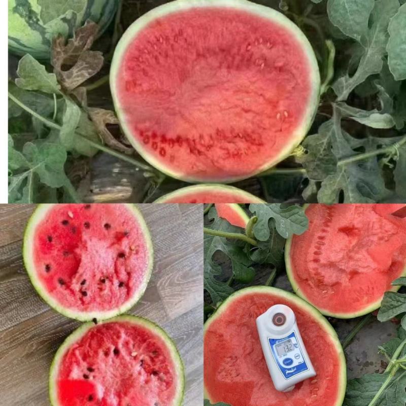枝江美都无籽西瓜/8424麒麟瓜大棚瓜产地直发整车发