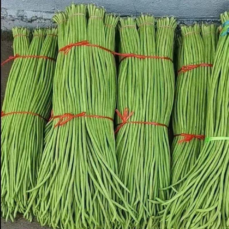 [热卖]湖北宜昌长豆角青条豆角大量有货可视频看货