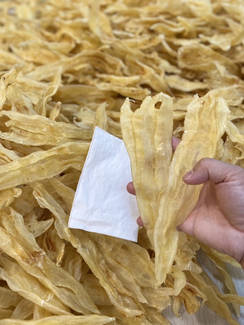 鱼胶花胶阴阳条阴阳公北海鳘鱼胶清水足干肉厚孕妇滋补品