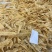 鱼胶花胶阴阳条阴阳公北海鳘鱼胶清水足干肉厚孕妇滋补品