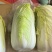 大小娃娃菜