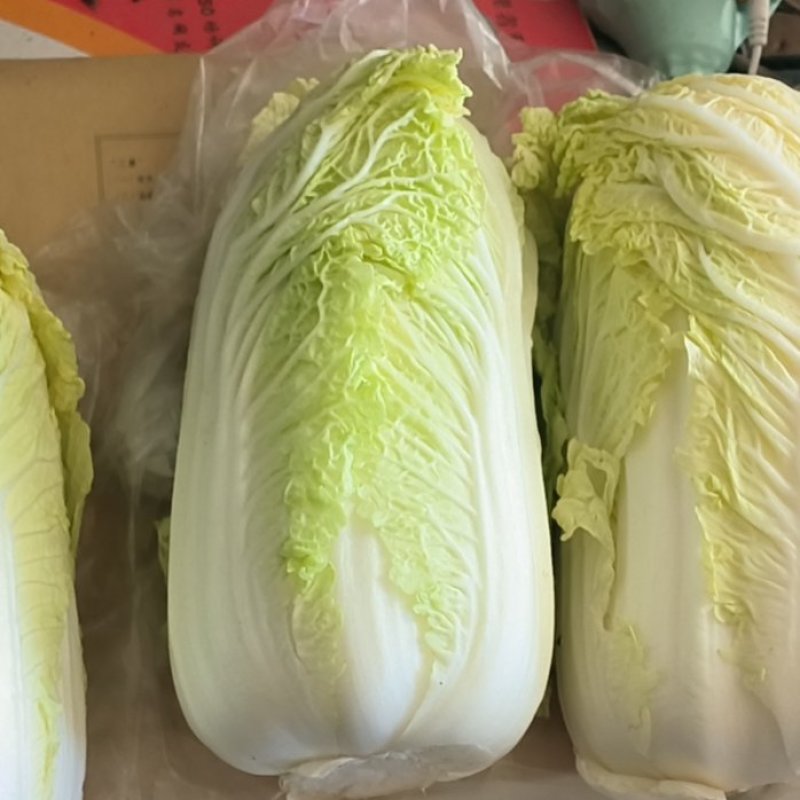 大小娃娃菜