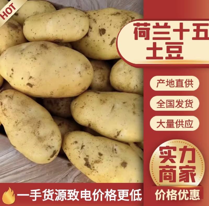 精品土豆，黄皮黄心土豆，质量好，沃土个头大，商超品质好