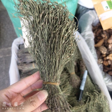 独脚金2023年独角金疳积草独脚甘独脚柑新鲜晒干野生