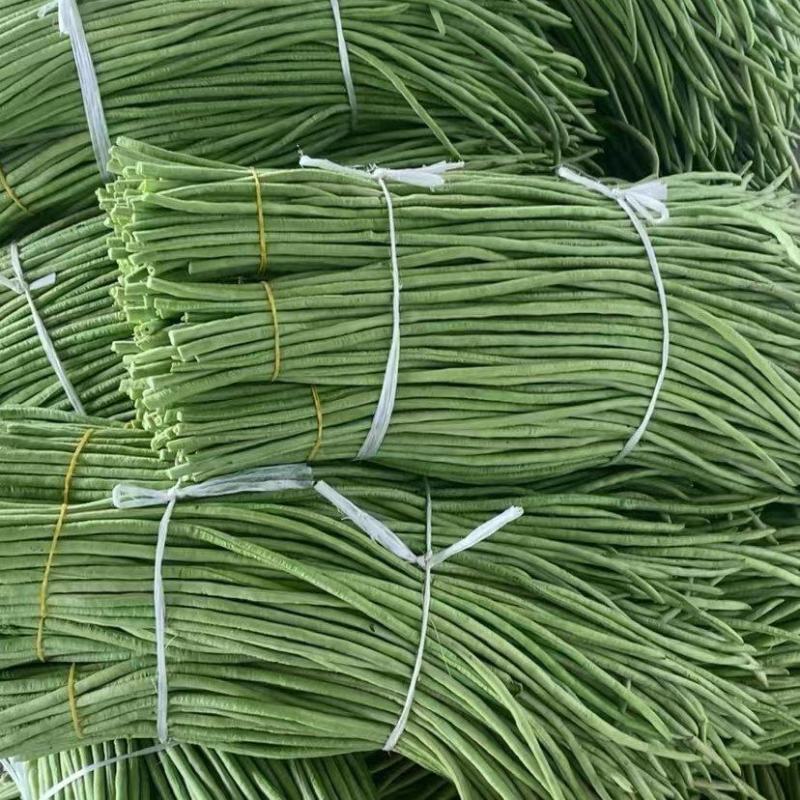 精品豆角湖北长豆角大量上市产地直供量大优惠来电咨询