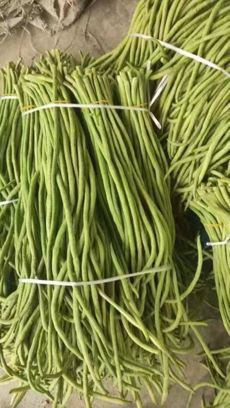 精品豆角湖北长豆角大量上市产地直供量大优惠来电咨询