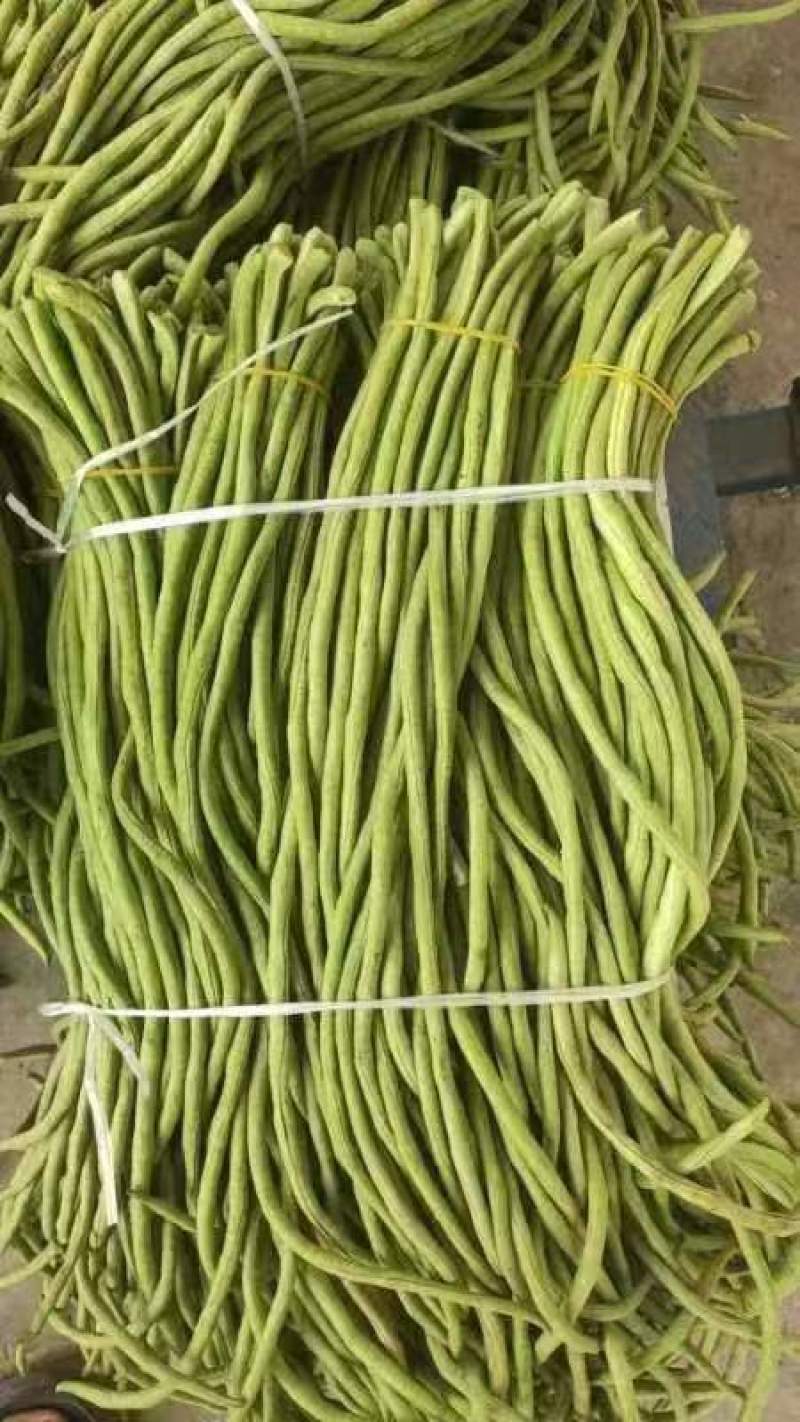 精品豆角湖北长豆角大量上市产地直供量大优惠来电咨询