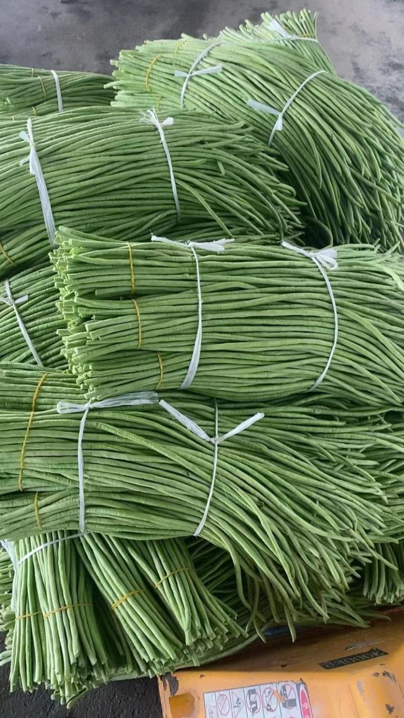 精品豆角湖北长豆角大量上市产地直供量大优惠来电咨询