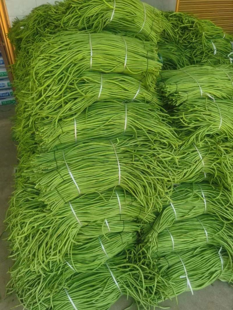 精品豆角湖北长豆角大量上市产地直供量大优惠来电咨询