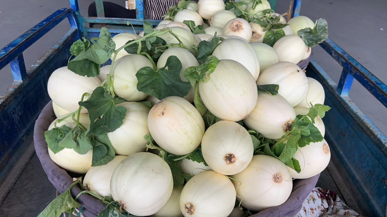 主播正在介绍星甜24甜瓜的口感与优点,背景为堆满新鲜瓜果的仓库 星甜24甜瓜线上销售直播间场景