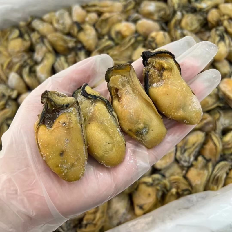 台山大金蚝鲜活生晒蚝干牡蛎干货生蚝蚝鼓肥大饱满送礼佳品