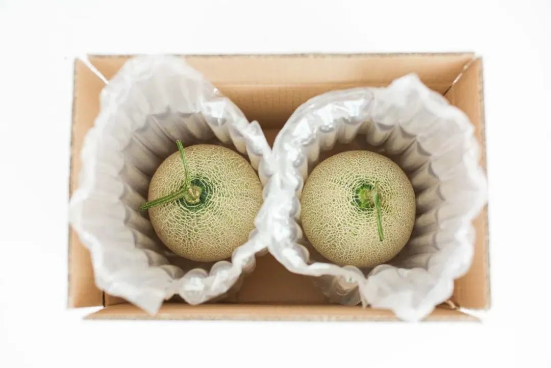 哈密瓜保存技巧示意图