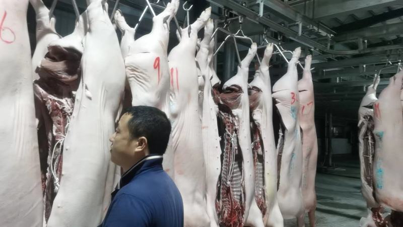 猪肉三元长白边肉广西本猪肉批发现货销售
