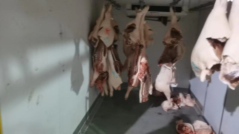 猪肉三元长白边肉广西本猪肉批发现货销售