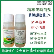 树荣耕锄10%精草铵膦铵盐非耕地杂草除草剂农药